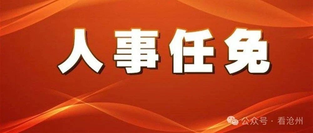 沧州市干部最新任免动态概览