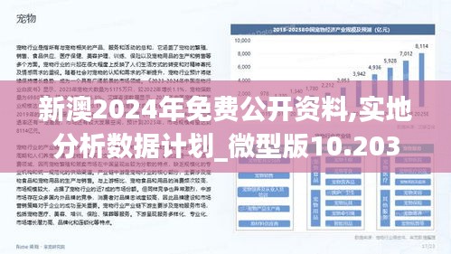 2024年新澳正版精准资料免费大全｜数据解释说明规划