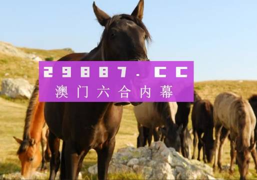 澳门管家婆一肖一码一中一,可靠解答解释落实_体验版95.501