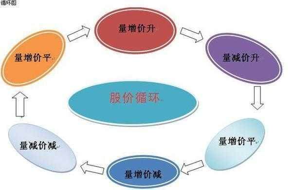 2024年新奥天天精准资料大全｜实用技巧与详细解析