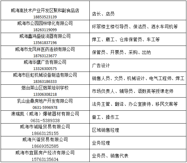 胶州人力资源最新招聘动态深度剖析