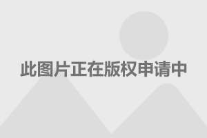 标志207最新报价及深度市场分析