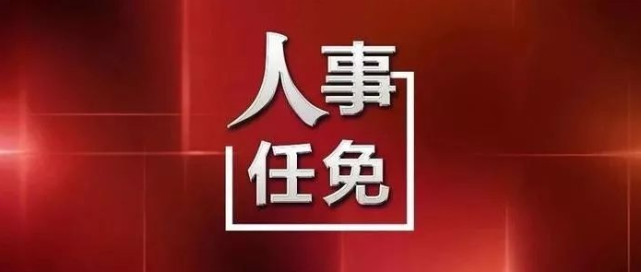 全国最新人事任免概览，高层人事变动一览无余