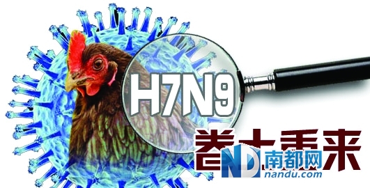 广东H7N9最新动态，全面防控，坚决保障民众健康