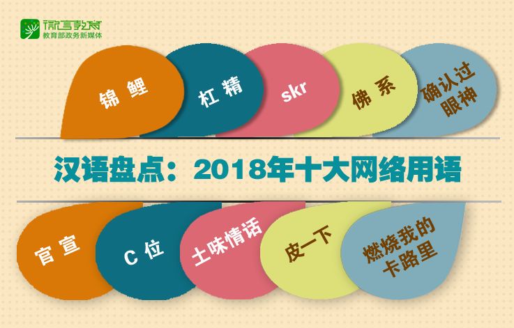 最新网络术语揭示现代网络文化的新潮流探究