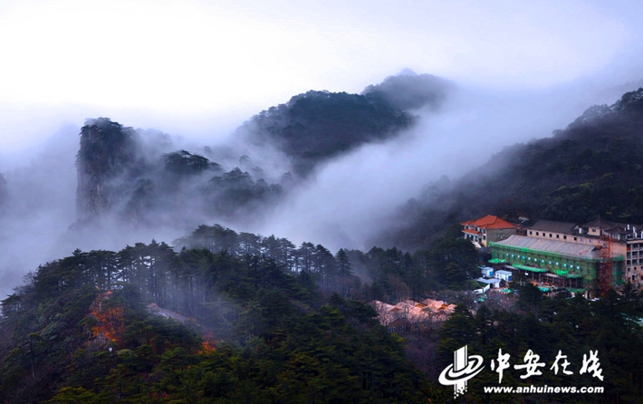 黄山旅游新动态与独特魅力揭秘，最新新闻报道