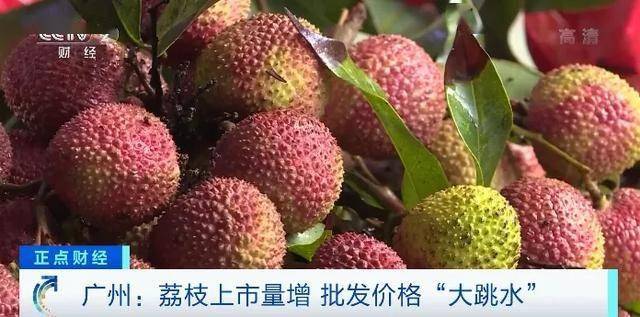 荔枝最新价格动态解析报告