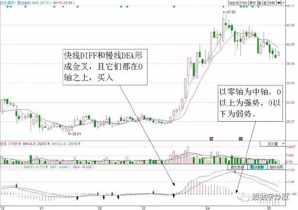 聚龙股份最新消息全面解读与分析