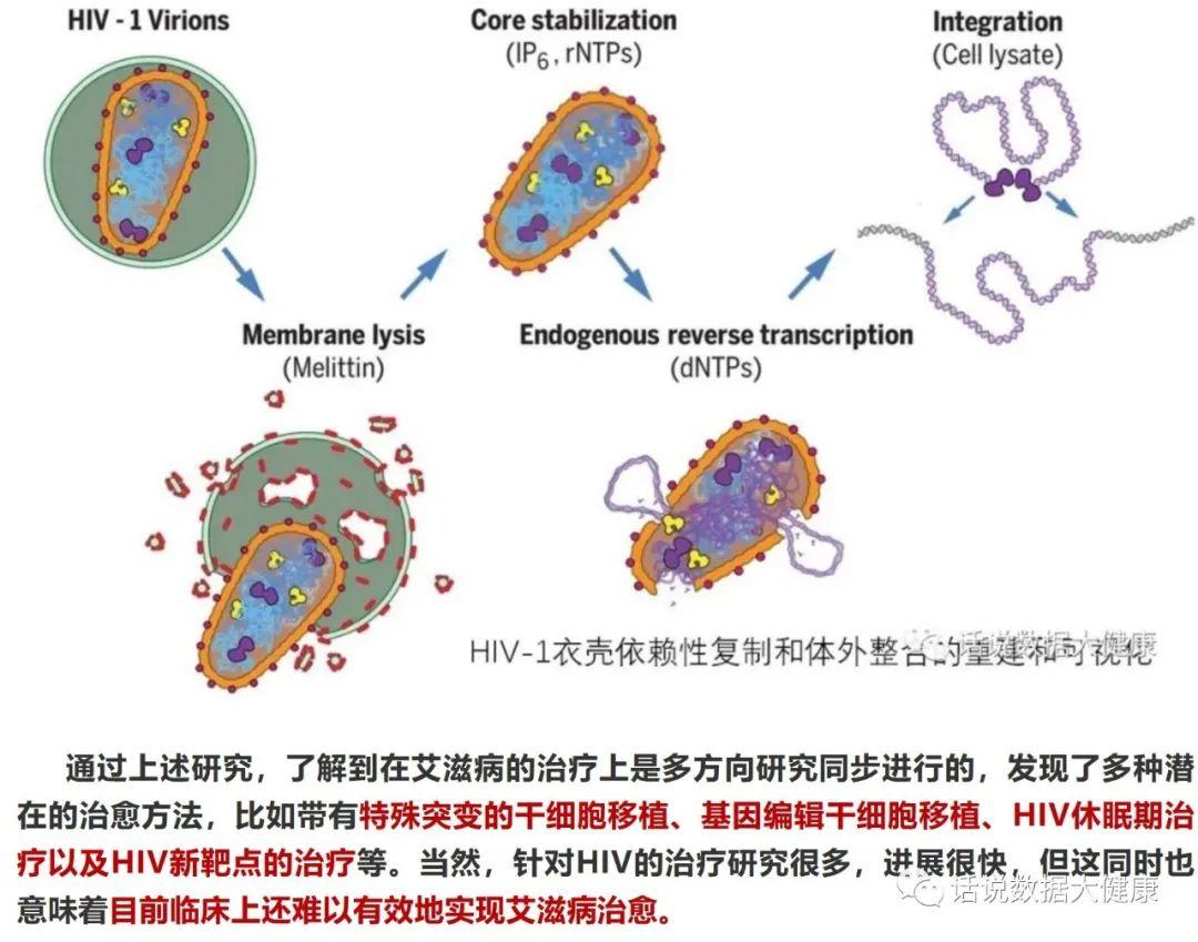 艾滋病研究的最新进展，科学突破与希望之光探索