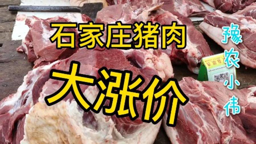 石家庄猪肉价格动态分析与趋势预测