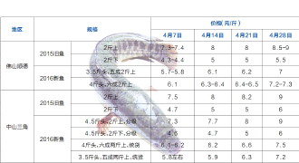 最新生鱼价格行情解析